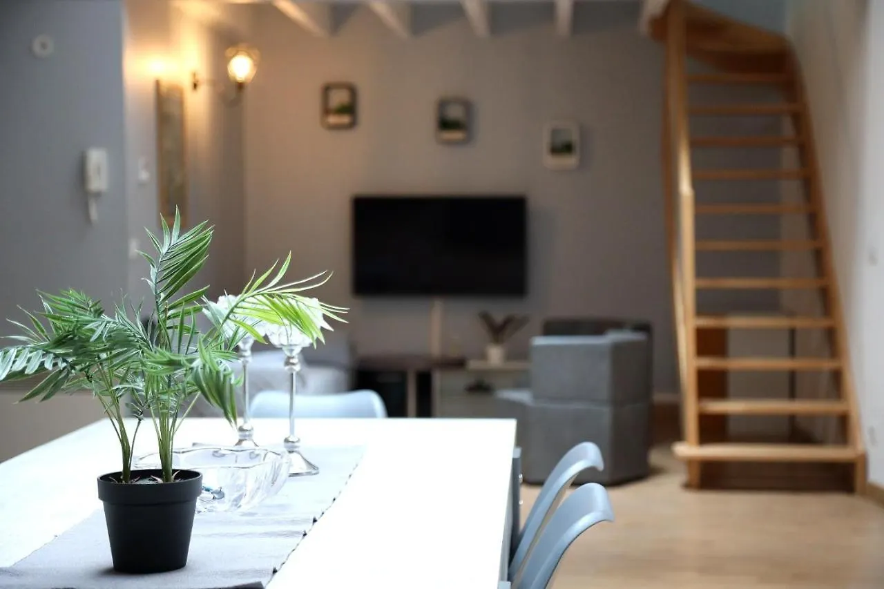 Luxury Loft Lourdes Apartment France